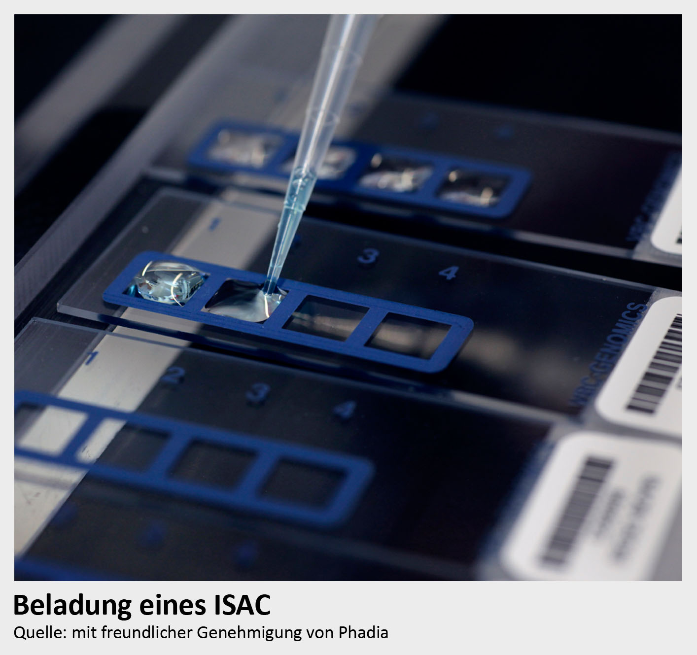 Eintrag Leistungsverzeichnis Labor Dr. Gärtner